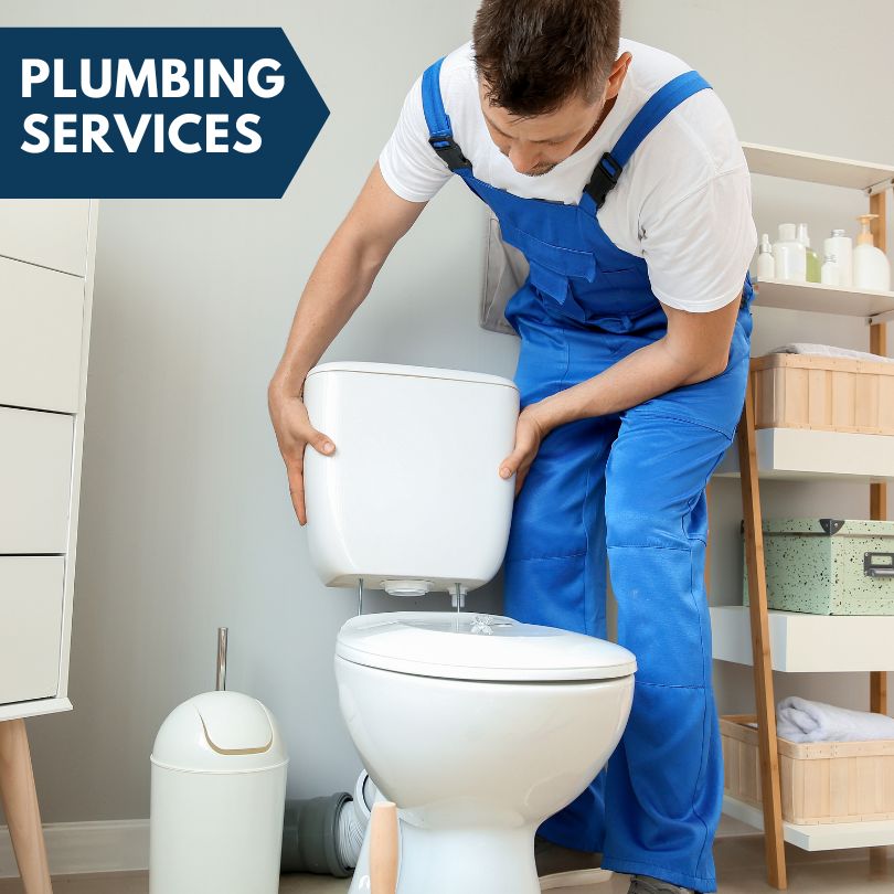 Plumbing Company in Suches, GA